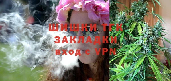 шишки Алексеевка