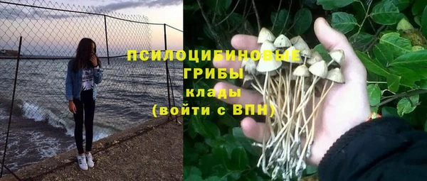 шишки Алексеевка