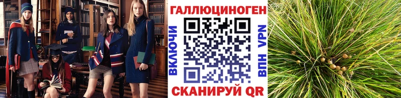 Псилоцибиновые грибы мухоморы  Кизел 